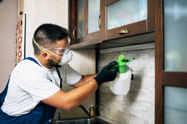 Best Pest Control Cost  in USA